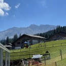 IMG 4231