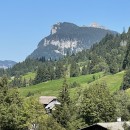 IMG 4232