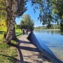 Rückweg dem Rhein entlang