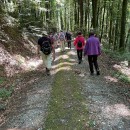 Auf dem Weg zum Rodenberg