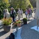 Aufbruch im Schupfen